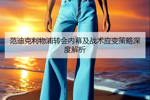 范迪克利物浦转会内幕及战术应变策略深度解析