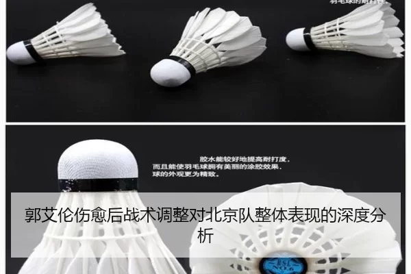 郭艾伦伤愈后战术调整对北京队整体表现的深度分析