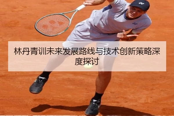 林丹青训未来发展路线与技术创新策略深度探讨