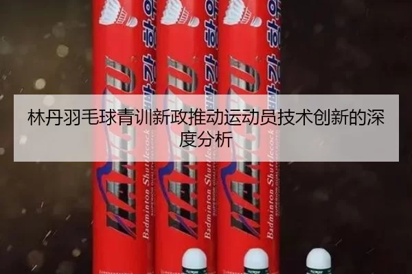 林丹羽毛球青训新政推动运动员技术创新的深度分析