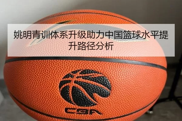 姚明青训体系升级助力中国篮球水平提升路径分析
